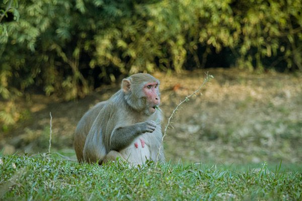 Découvrez les innovations de tefal pour votre cuisine