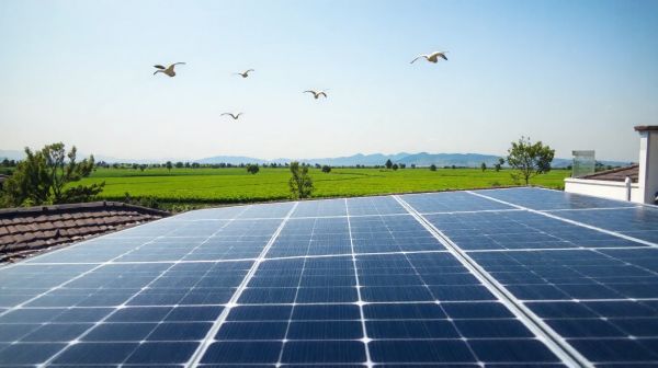 6 raisons étonnantes de choisir un panneau solaire photovoltaïque