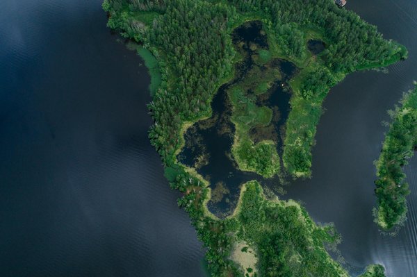 Comment réduire le tarif débroussaillage simplement