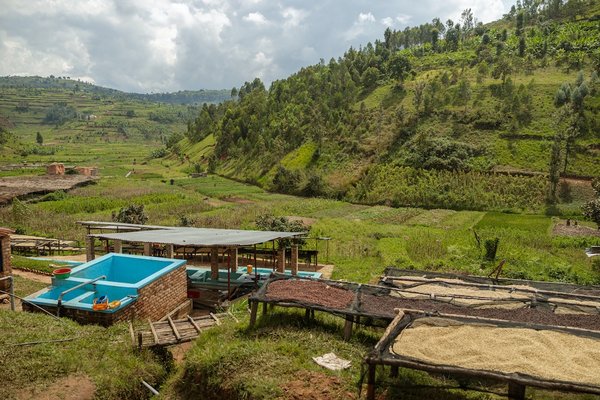 Comment fabriquer des pots de fleurs à partir de bouteilles en plastique recyclées ?